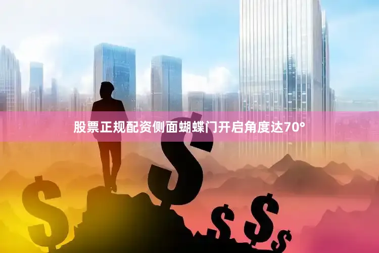 股票正规配资侧面蝴蝶门开启角度达70°