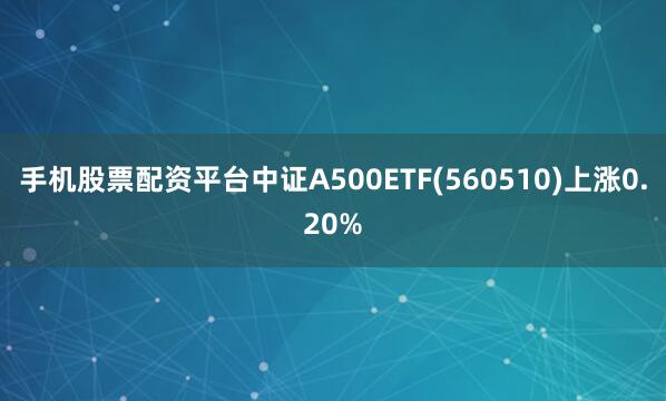 手机股票配资平台中证A500ETF(560510)上涨0.20%