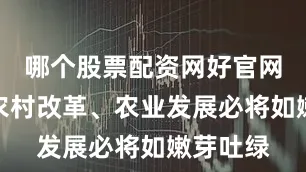 哪个股票配资网好官网预示着农村改革、农业发展必将如嫩芽吐绿