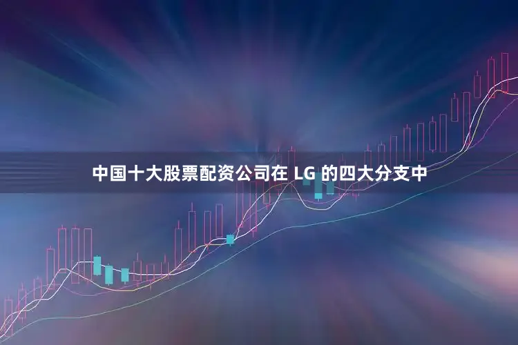 中国十大股票配资公司　　在 LG 的四大分支中